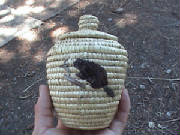 basketbeaver.jpg