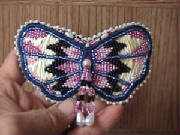 butterfly.jpg