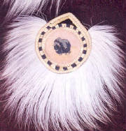df-musk-ox.jpg