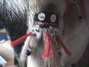 eskimodollarmdecoration.jpg