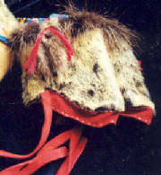 nbsealskinbooties.jpg