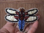 pindragonflysmall.jpg