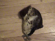 sealhat.jpg
