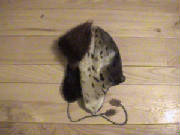 sealhat3.jpg