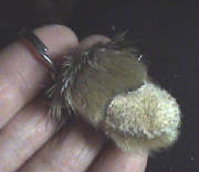 sealskinmittenkeychain.jpg
