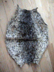 spottedsealskinfur.jpg