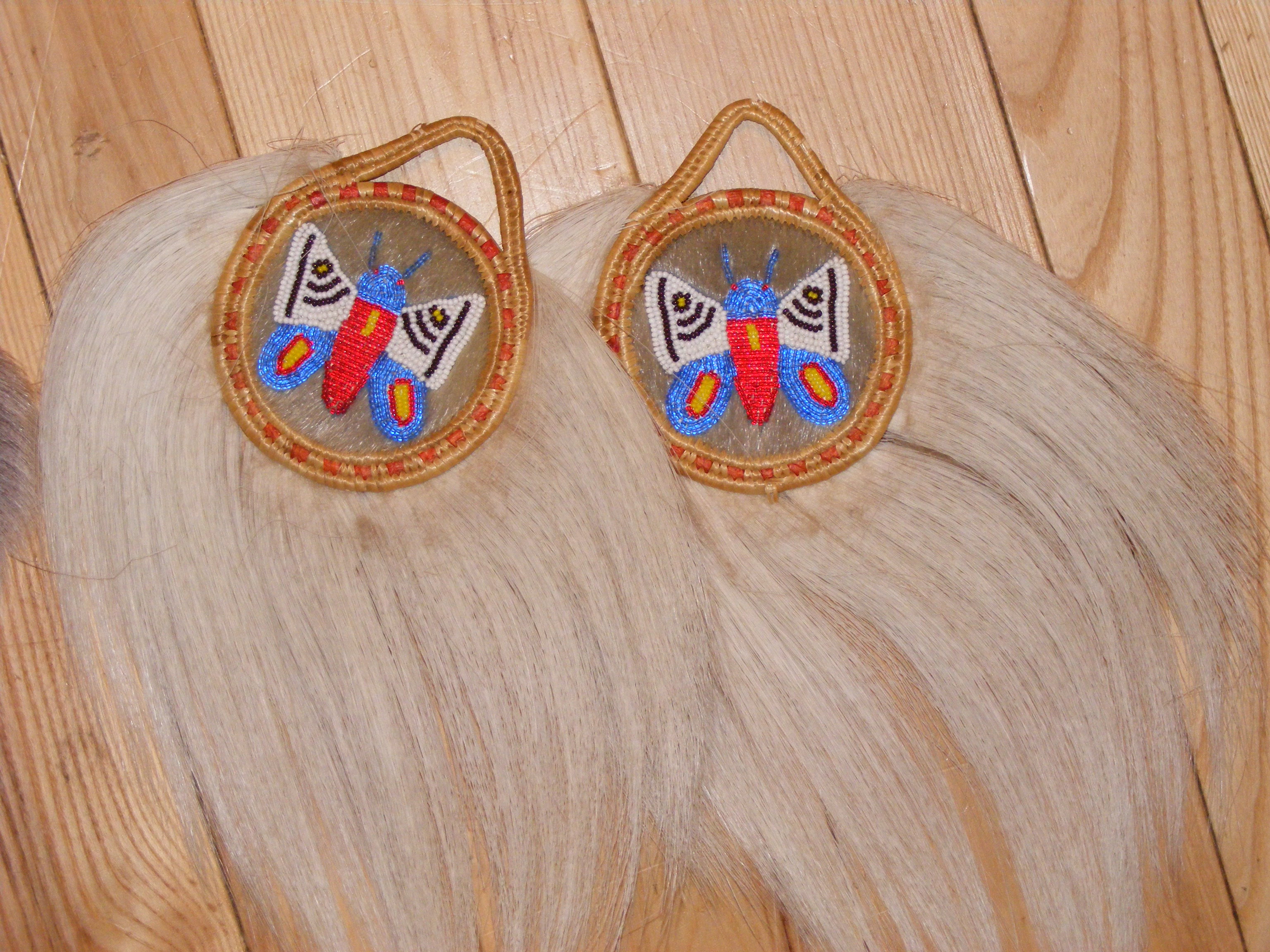dscf00172.jpg