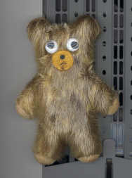 sealskinteddybear.jpg